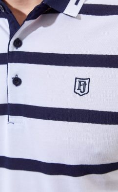 Футболка-поло F311-07-178 white-blue
