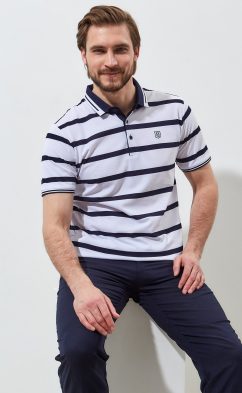 Футболка-поло F311-07-178 white-blue