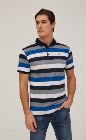 Футболка-поло мужская в полоску F311-07-044b бело-бирюзовая