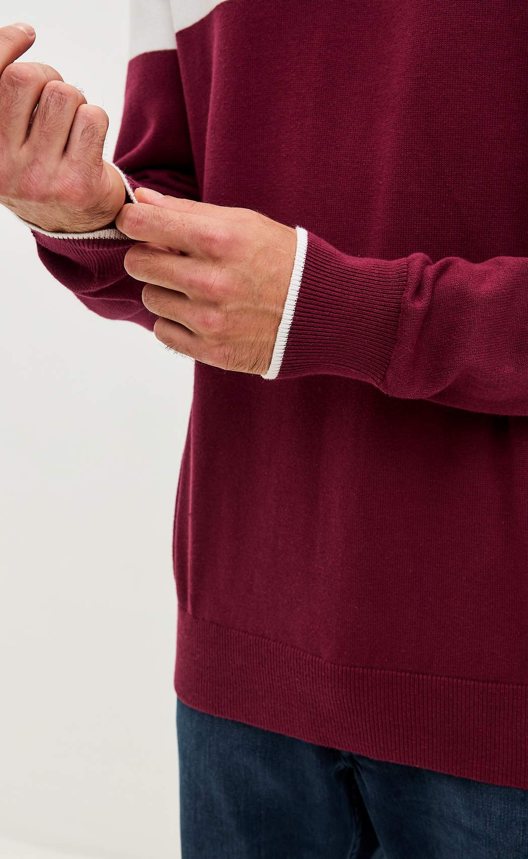 Джемпер мужской  в полоску с воротником-стойкой на молнии F221-15-831 сине-бордовый