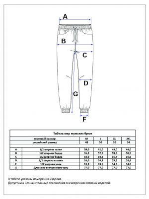 Брюки мужские спортивные P321-0821-4 синие